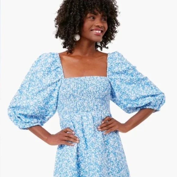 NEW Tuckernuck Annie Dress in Blooms on Broad Size XL Color Blue White - Picture 8 of 9